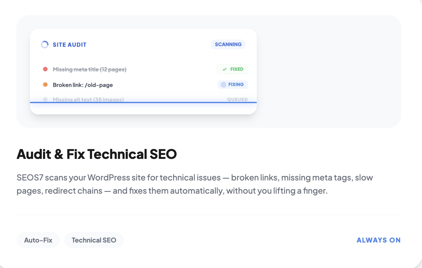 Audit & Fix Technical SEO